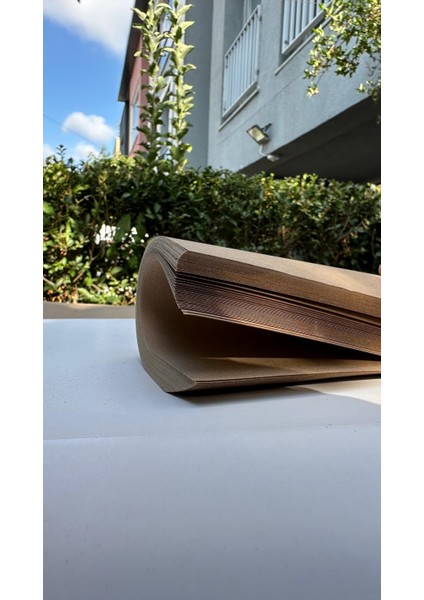 Oto Paspasları Boş Kağıt Oto Paspas 100 Adet 550CSERI modelleri