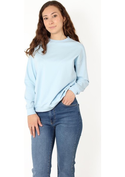 2676 Bisiklet Yaka Çelik Interlok Sweat fiyatları