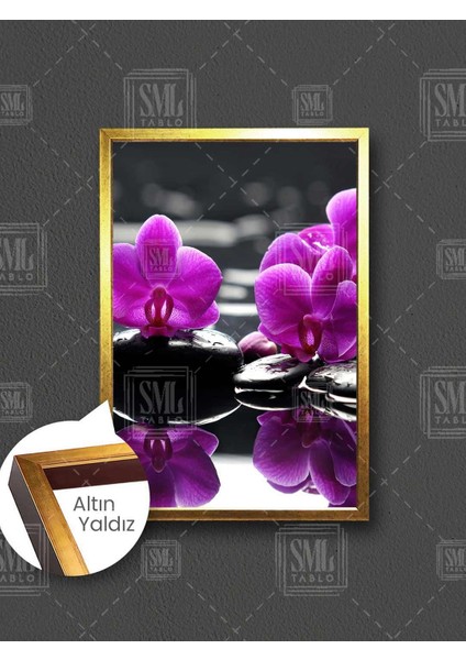 Siyah Zen Taşı Mor Orkide Denge Spa Masaj Merkezi Çerçeveli Dikey Kanvas Tablo