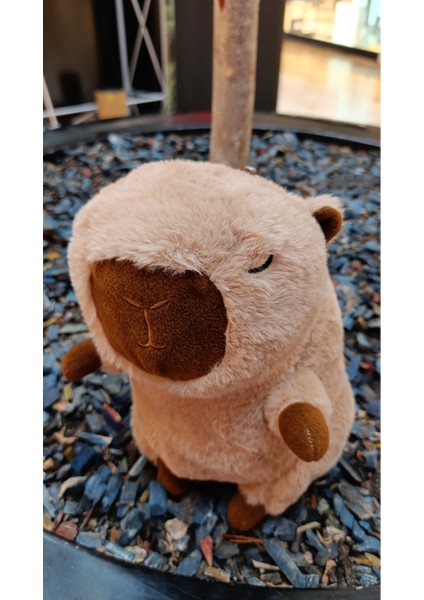 Sevimli Peluş Kapibara 30 cm Uyku ve Oyun Arkadaşı Capibara Hayvan Oyuncak fiyatları