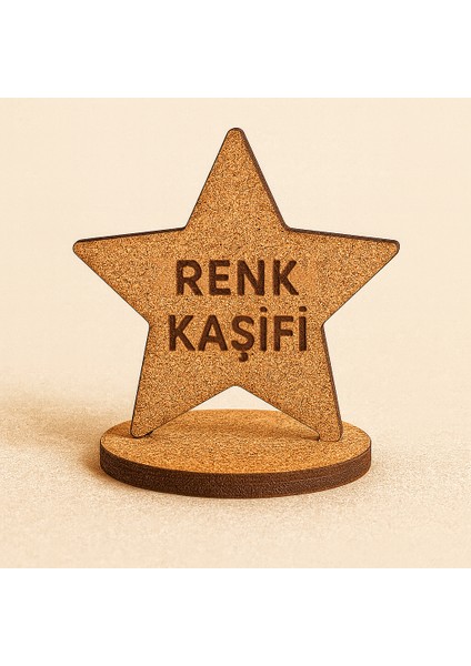 Renk Çarkı – Çocuklar Için Eğitici Ahşap Stem Oyuncak,deney Seti ve Bilim Kit