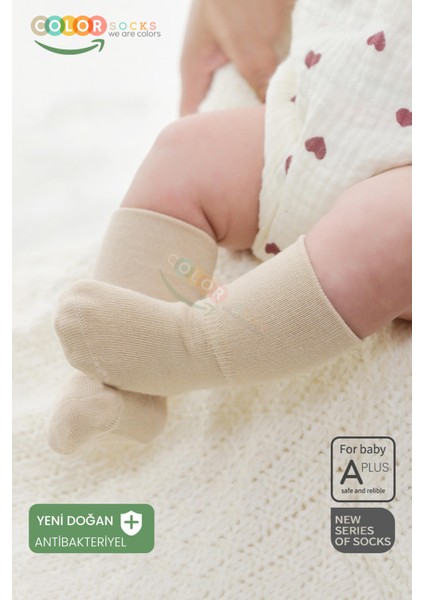 6 Çift Kutulu Organik Bebek Çorap Seti (Soft Touch) fiyatları