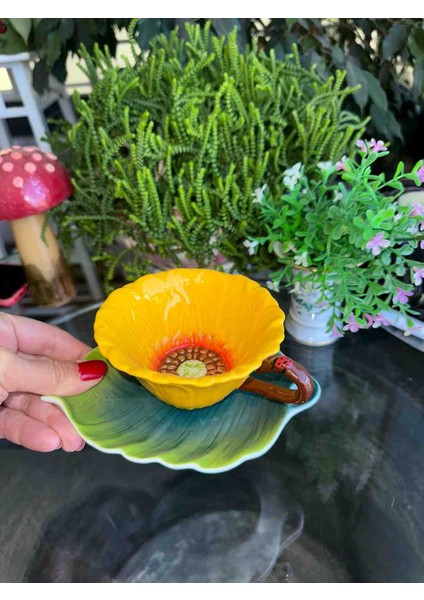 Ithal Fincan fiyatları