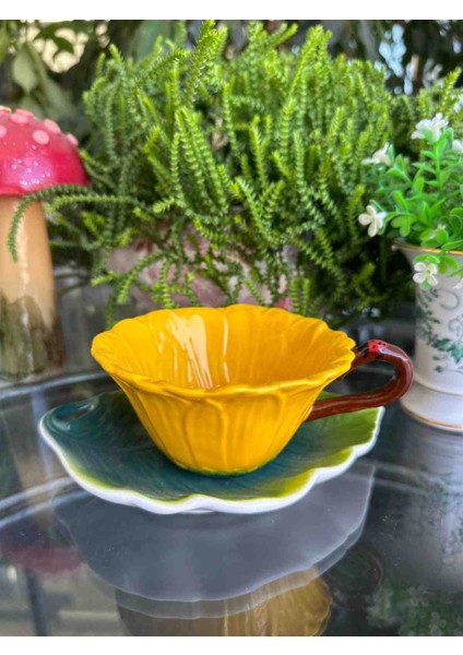 Ithal Fincan modelleri