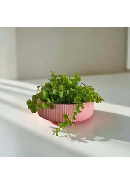 Ribbella – Çizgili Formda Takı ve Düzenleyici Pembe Tabak 20X5,5 cm modelleri