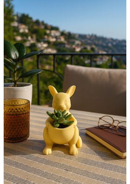 Kanguru Saksı Dekoratif Sukulent & Kaktüs Saksı Masaüstü Saksı Hayvan Figürlü Saksı
