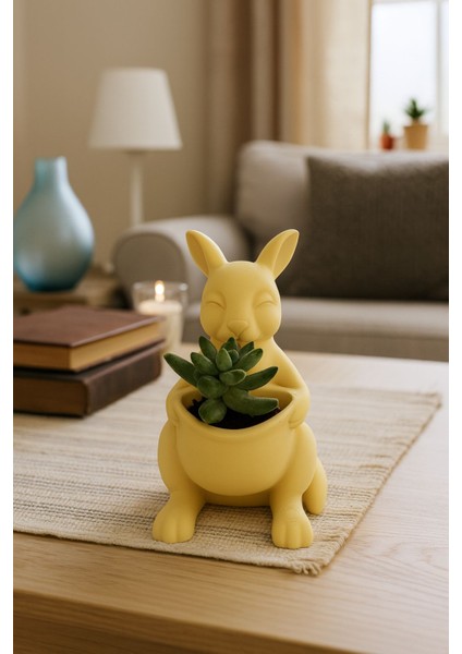 Kanguru Saksı Dekoratif Sukulent & Kaktüs Saksı Masaüstü Saksı Hayvan Figürlü Saksı modelleri