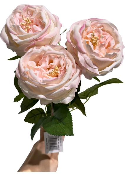 Toz Pembe 3'lü Islak Şakayık