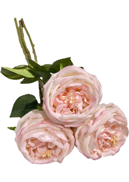 Toz Pembe 3'lü Islak Şakayık modelleri