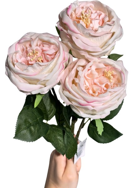 Toz Pembe 3'lü Islak Şakayık fırsatları