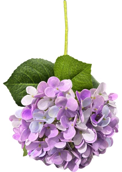 Lila Ithal Ortanca modelleri