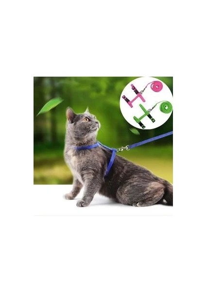 Ayarlanabilir Parlak Çizgili Kedi Gezdirme Boyun ve Göğüs Tasması Farklı Renk Seçenekleri fırsatları