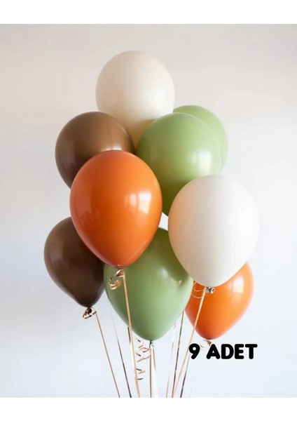 Retro Renkler Balon Demeti Deniz Kumu Çikolata Kahve Okaliptus Yanık Turuncu Balon 9lu
