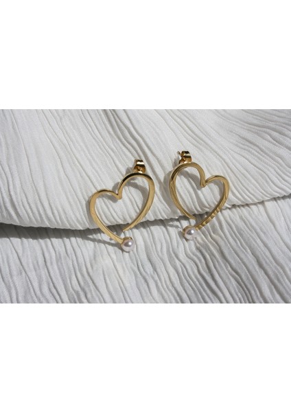 Kalp Küpe fiyatları