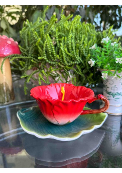 Ithal Fincan fiyatları