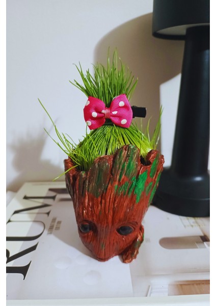 Çim Adam Saçlarını Kes,tarzını Göster.topraklı Özel Tasarım –eğlenceli Saksı Seti