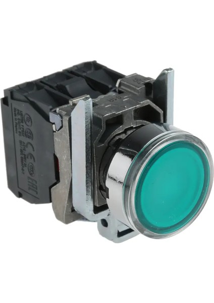 XB4BW33B5 Metal Yaylı Buton