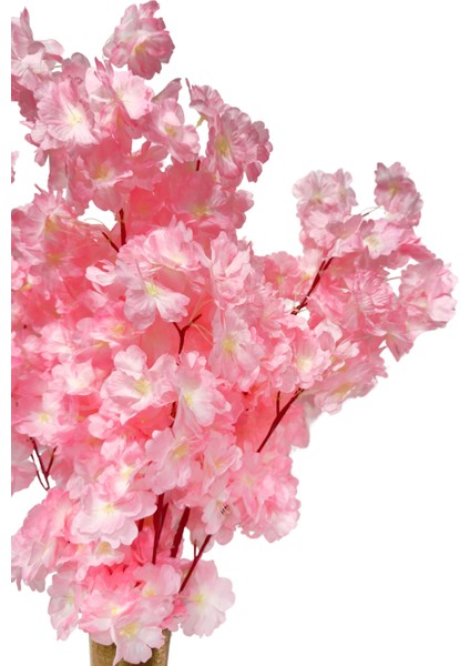 4'lü Pembe Bahar Dalı Çiçek fırsatları