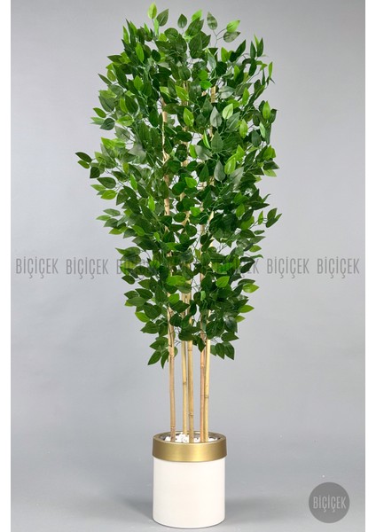 Yapay Benjamin Ağacı 170CM Krem Metal Saksıda Gold