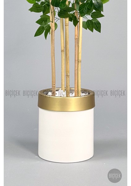 Yapay Benjamin Ağacı 170CM Krem Metal Saksıda Gold fiyatları