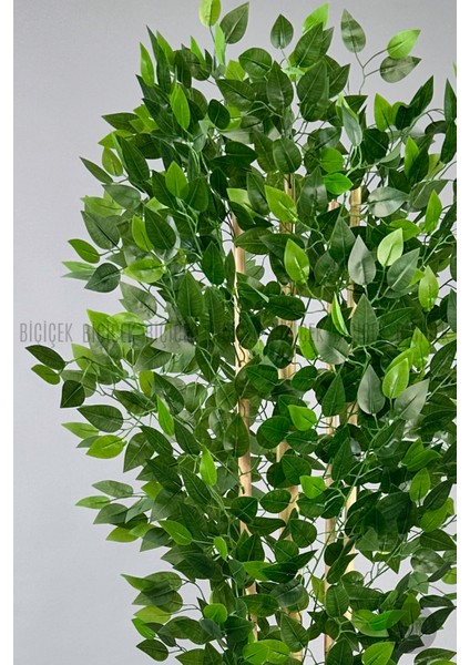 Yapay Benjamin Ağacı 170CM Krem Metal Saksıda Gold modelleri