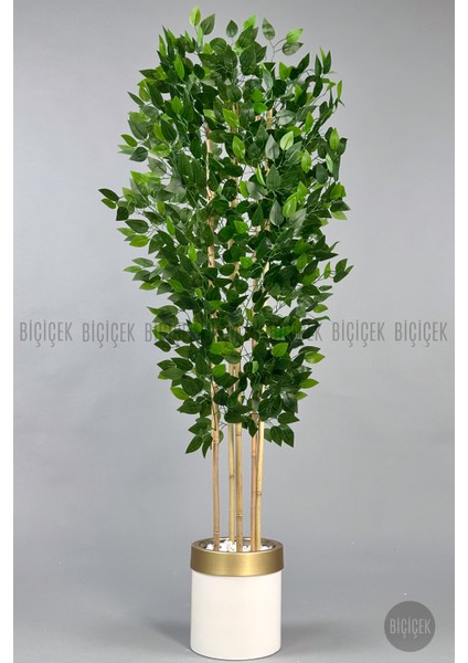 Yapay Benjamin Ağacı 170CM Krem Metal Saksıda Gold indirimleri