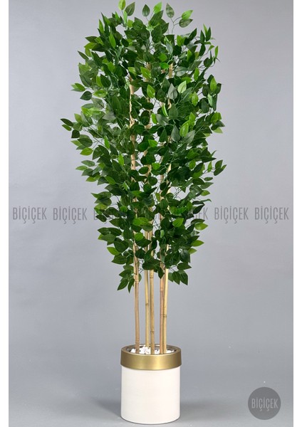 Yapay Benjamin Ağacı 170CM Krem Metal Saksıda Gold