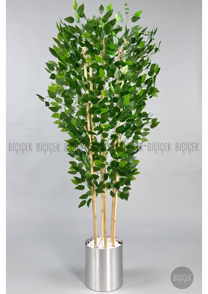 Yapay Benjamin Ağacı 170CM Gümüş Metal Saksıda