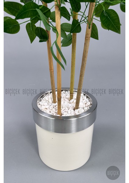 Yapay Benjamin Ağacı 140CM Krem Gümüş Metal Saksıda fiyatları