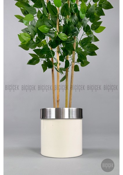 Yapay Benjamin Ağacı 140CM Krem Gümüş Metal Saksıda fırsatları