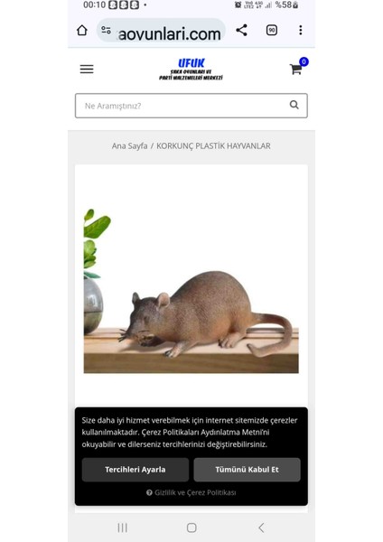 Kahverengı Yumusak Fare