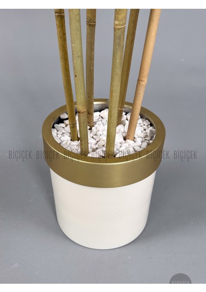 Yapay Bambu Ağacı 170CM Krem Metal Saksıda Gold modelleri