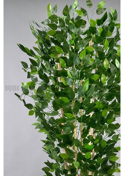 Yapay Benjamin Ağacı 170CM Krem Metal Saksıda Gümüş modelleri