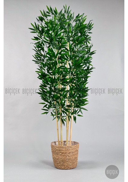 Yapay Bambu Ağacı 170CM Hasır Bohem1 Saksıda