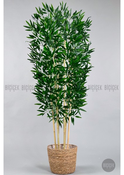 Yapay Bambu Ağacı 170CM Hasır Bohem1 Saksıda