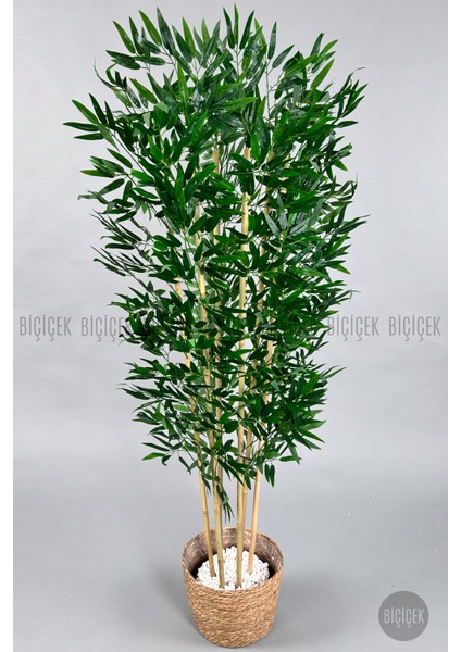 Yapay Bambu Ağacı 170CM Hasır Bohem1 Saksıda