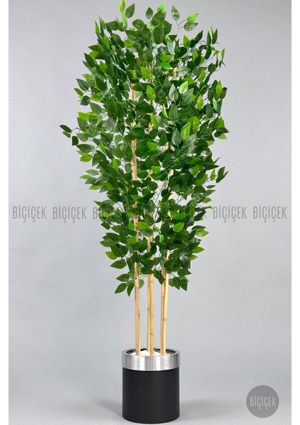 Yapay Benjamin Ağacı 170CM Siyah Metal Saksıda Gümüş