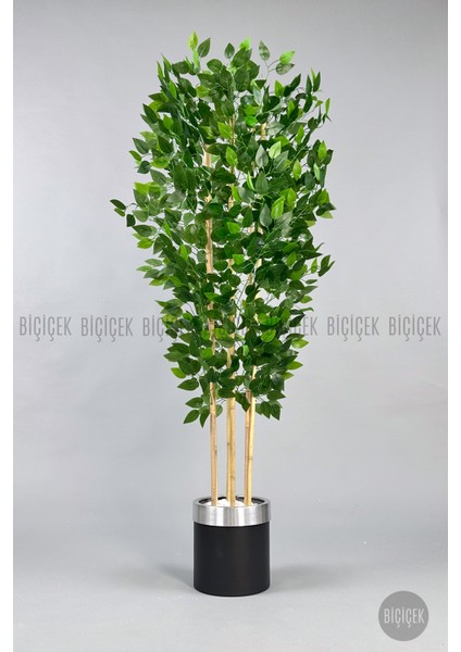 Yapay Benjamin Ağacı 170CM Siyah Metal Saksıda Gümüş modelleri