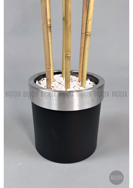 Yapay Benjamin Ağacı 170CM Siyah Metal Saksıda Gümüş indirimleri