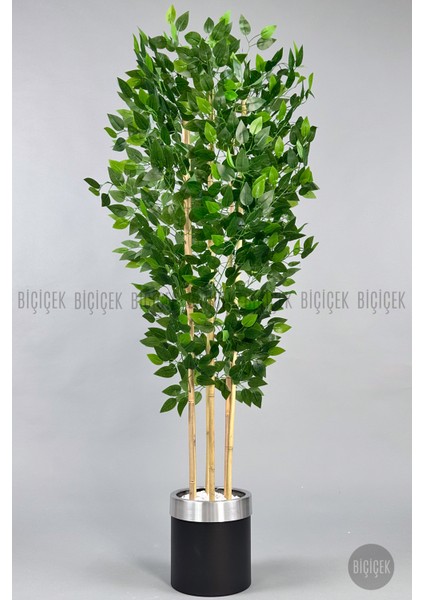 Yapay Benjamin Ağacı 170CM Siyah Metal Saksıda Gümüş