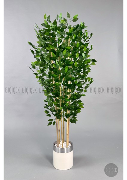 Yapay Benjamin Ağacı 170CM Krem Metal Saksıda Gümüş fırsatları