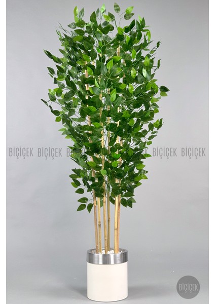 Yapay Benjamin Ağacı 170CM Krem Metal Saksıda Gümüş indirimleri