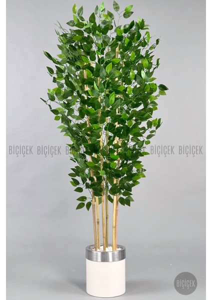 Yapay Benjamin Ağacı 170CM Krem Metal Saksıda Gümüş
