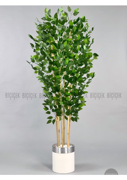 Yapay Benjamin Ağacı 170CM Krem Metal Saksıda Gümüş