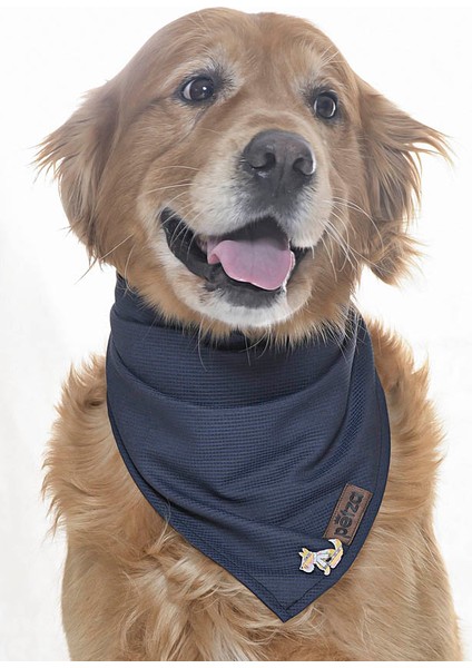 Köpek Bandana / Nargle