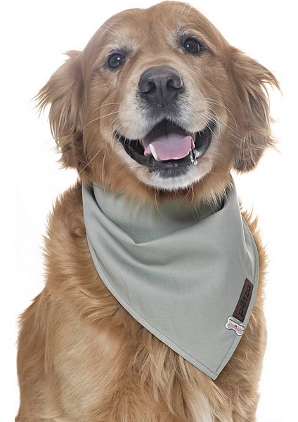 Köpek Bandana / Bunty