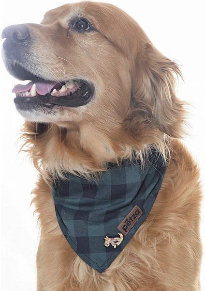 Köpek Bandana / Crup