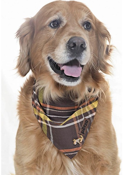 Köpek Bandana / Wasp