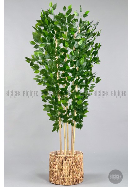 Yapay Benjamin Ağacı 170CM Hasır Bohem1 Saksıda