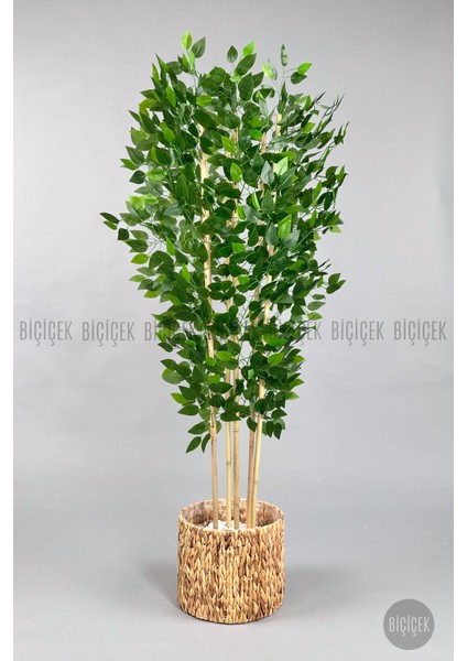 Yapay Benjamin Ağacı 170CM Hasır Bohem1 Saksıda fiyatları